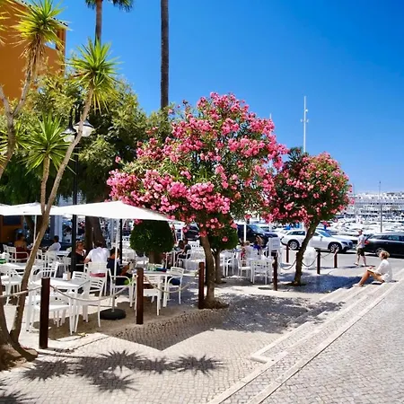 Seaview Penthouse In Algarve With Spacious Terrace Lägenhet *